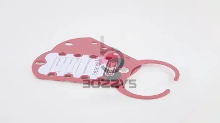Bozzys 태그와 버클의 조합으로 9개의 키홀이 있는 잠금 장치 걸쇠